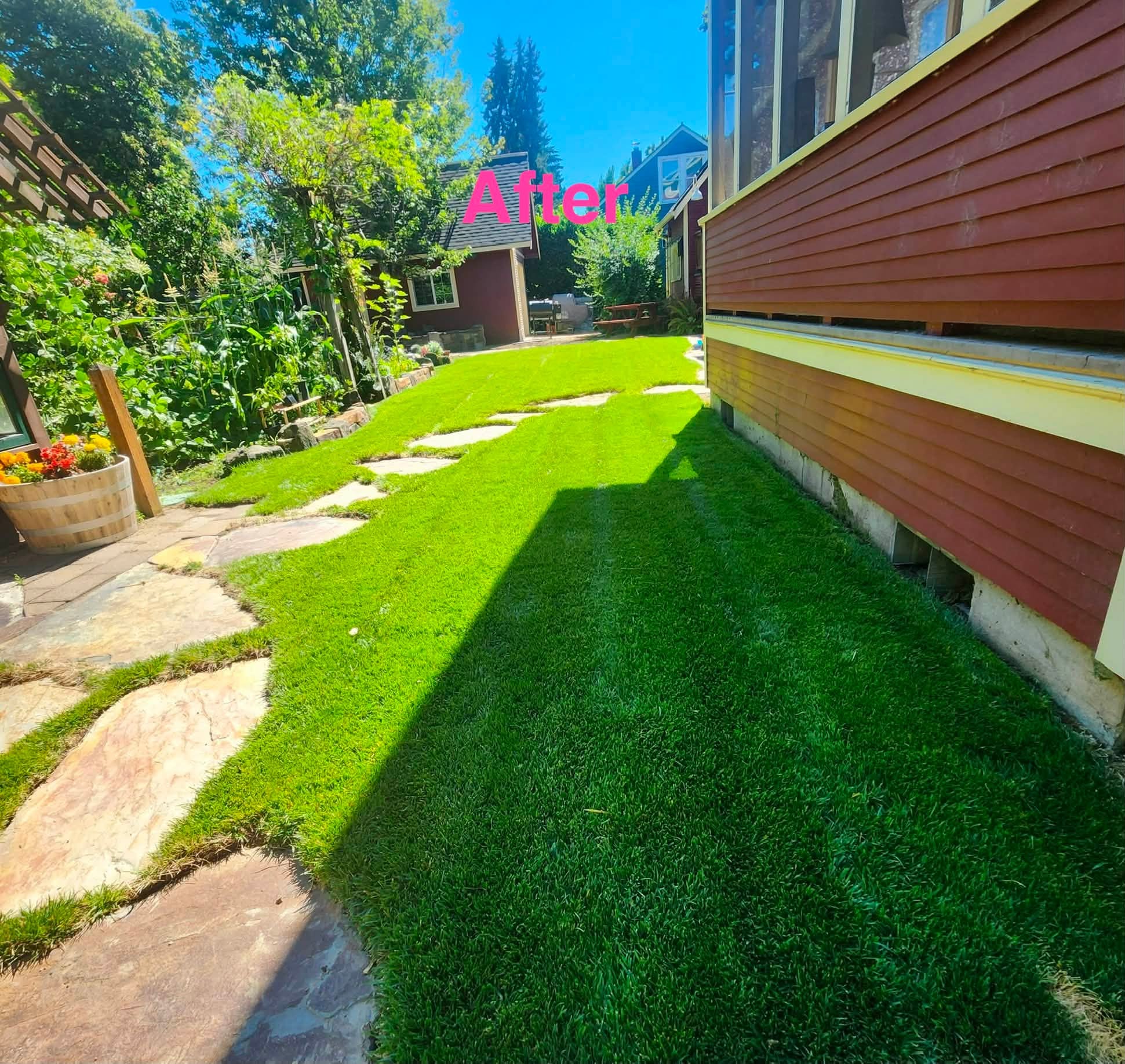 Beautifully maintained lush green lawn and flagstone walkway by Sunny Horizons